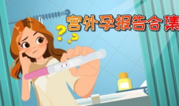 深读视频,探寻视频背后的真相与奥秘